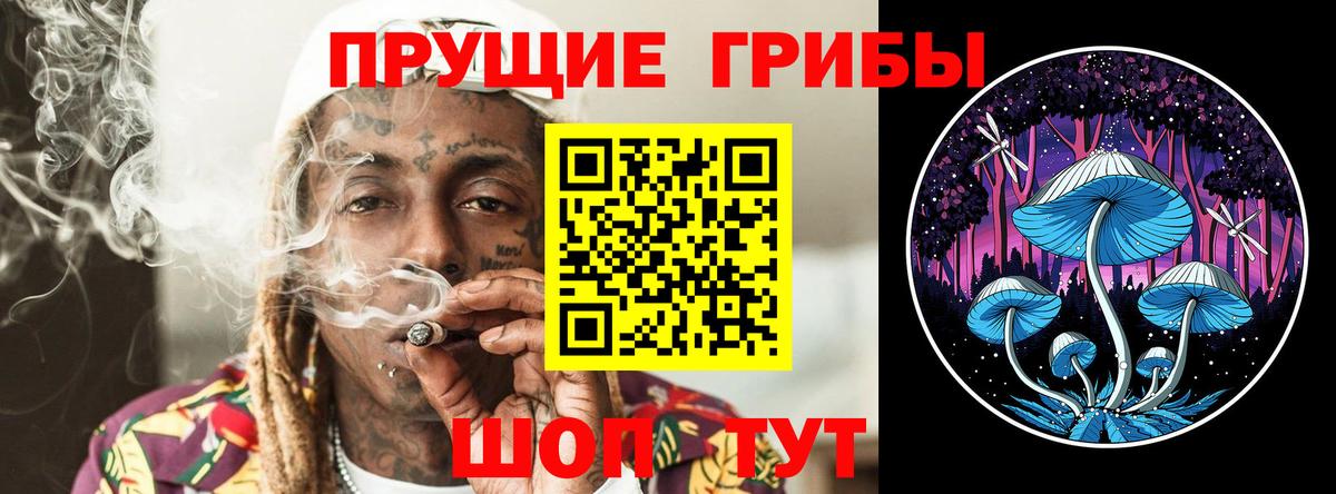 Рубцовск  Псилоцибиновые грибы прущие грибы  Вход с VPN 